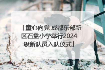 童心向党 成都东部新区石盘小学举行2024级新队员入队仪式
