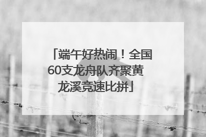 端午好热闹！全国60支龙舟队齐聚黄龙溪竞速比拼