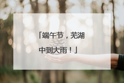 端午节，芜湖中到大雨！