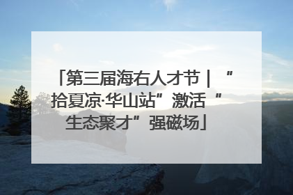 第三届海右人才节｜“拾夏凉·华山站”激活“生态聚才”强磁场