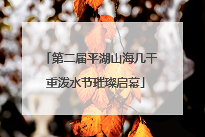 第二届平湖山海几千重泼水节璀璨启幕