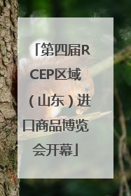 第四届RCEP区域（山东）进口商品博览会开幕