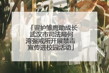 翼护雏鹰助成长 武汉市司法局何湾强戒所开展禁毒宣传进校园活动