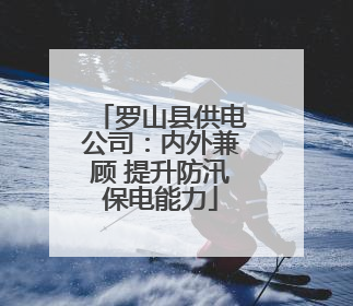 罗山县供电公司：内外兼顾 提升防汛保电能力