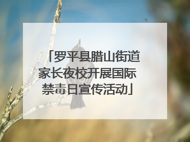 罗平县腊山街道家长夜校开展国际禁毒日宣传活动