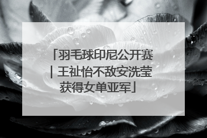 羽毛球印尼公开赛｜王祉怡不敌安洗莹 获得女单亚军