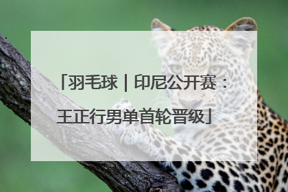 羽毛球｜印尼公开赛：王正行男单首轮晋级