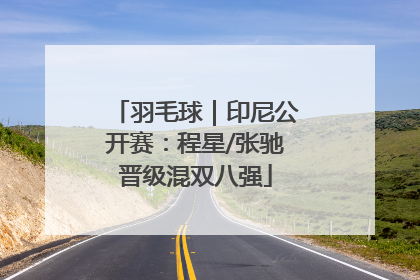 羽毛球｜印尼公开赛：程星/张驰晋级混双八强
