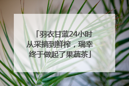 羽衣甘蓝24小时从采摘到鲜榨，瑞幸终于做起了果蔬茶