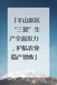羊山新区“三夏”生产全面发力，护航农业稳产增收