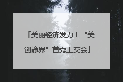 美丽经济发力！“美创静界”首秀上交会