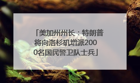 美加州州长：特朗普将向洛杉矶增派2000名国民警卫队士兵