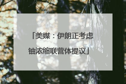 美媒：伊朗正考虑铀浓缩联营体提议