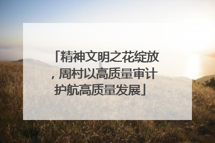 精神文明之花绽放，周村以高质量审计护航高质量发展