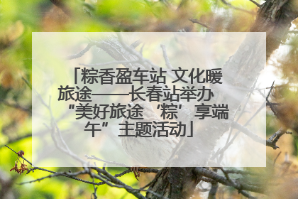 粽香盈车站 文化暖旅途——长春站举办 “美好旅途‘粽’享端午”主题活动