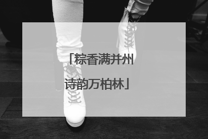 粽香满并州 诗韵万柏林