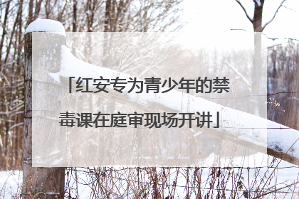 红安专为青少年的禁毒课在庭审现场开讲