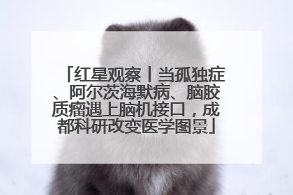 红星观察丨当孤独症、阿尔茨海默病、脑胶质瘤遇上脑机接口，成都科研改变医学图景