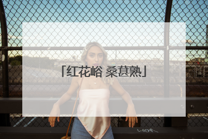 红花峪 桑葚熟