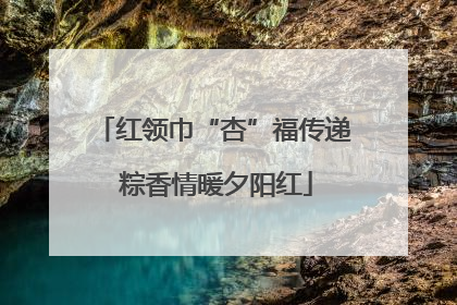 红领巾“杏”福传递 粽香情暖夕阳红