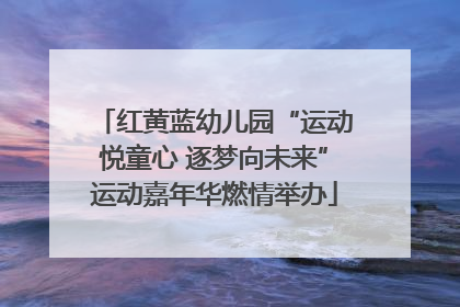 红黄蓝幼儿园“运动悦童心 逐梦向未来”运动嘉年华燃情举办