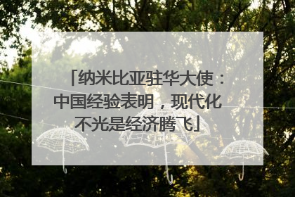 纳米比亚驻华大使：中国经验表明，现代化不光是经济腾飞