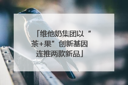 维他奶集团以“茶+果”创新基因连推两款新品