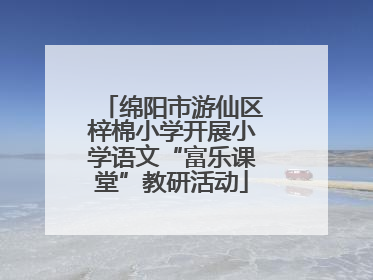 绵阳市游仙区梓棉小学开展小学语文“富乐课堂”教研活动
