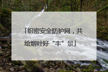 织密安全防护网，共绘烟叶好“丰”景
