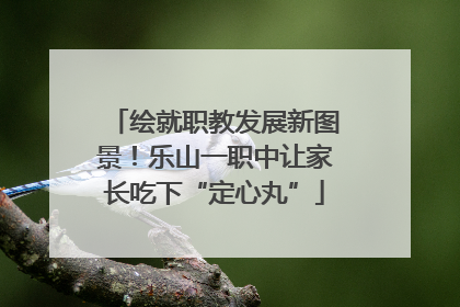 绘就职教发展新图景！乐山一职中让家长吃下“定心丸”