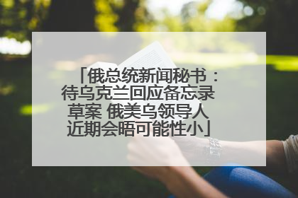俄总统新闻秘书：待乌克兰回应备忘录草案 俄美乌领导人近期会晤可能性小