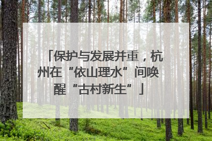 保护与发展并重，杭州在“依山理水”间唤醒“古村新生”