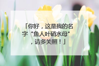 你好，这是我的名字“鱼人叶硝水母”，请多关照！