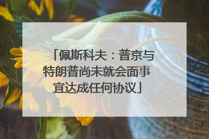 佩斯科夫：普京与特朗普尚未就会面事宜达成任何协议