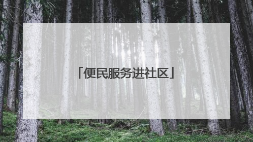 便民服务进社区