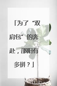 为了“双肩包”的奔赴，邵阳有多拼？