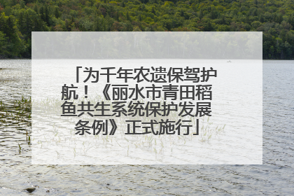为千年农遗保驾护航！《丽水市青田稻鱼共生系统保护发展条例》正式施行
