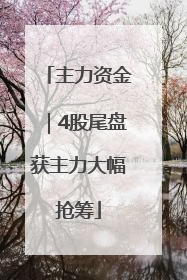 主力资金｜4股尾盘获主力大幅抢筹