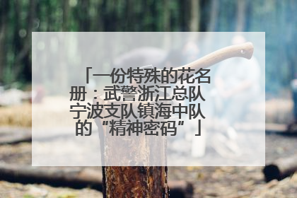 一份特殊的花名册：武警浙江总队宁波支队镇海中队的“精神密码”