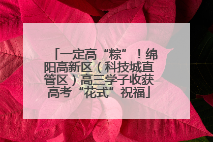 一定高“粽”！绵阳高新区（科技城直管区）高三学子收获高考“花式”祝福