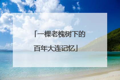 一棵老槐树下的百年大连记忆