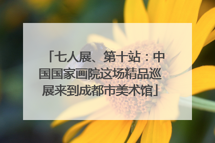 七人展、第十站：中国国家画院这场精品巡展来到成都市美术馆