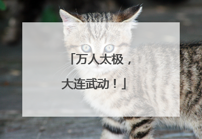 万人太极，大连武动！