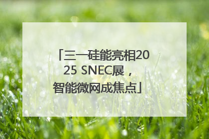 三一硅能亮相2025 SNEC展，智能微网成焦点