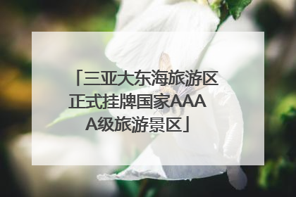 三亚大东海旅游区正式挂牌国家AAAA级旅游景区
