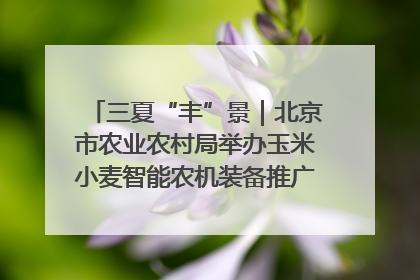 三夏“丰”景｜北京市农业农村局举办玉米小麦智能农机装备推广“田间日”活动