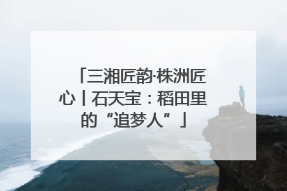 三湘匠韵·株洲匠心丨石天宝：稻田里的“追梦人”