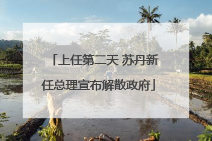 上任第二天 苏丹新任总理宣布解散政府