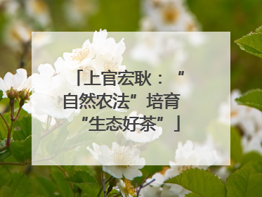 上官宏耿：“自然农法”培育“生态好茶”