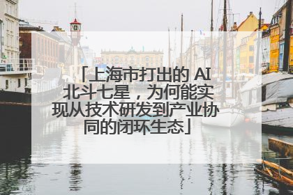 上海市打出的 AI 北斗七星，为何能实现从技术研发到产业协同的闭环生态
